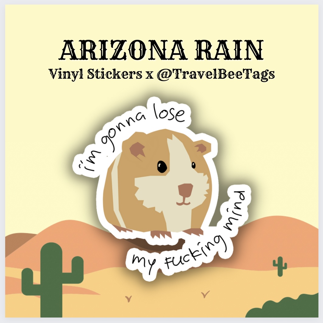Arizona Rain "I'm gonna lose my fucking mind" vinyl sticker by TravelBee Tags